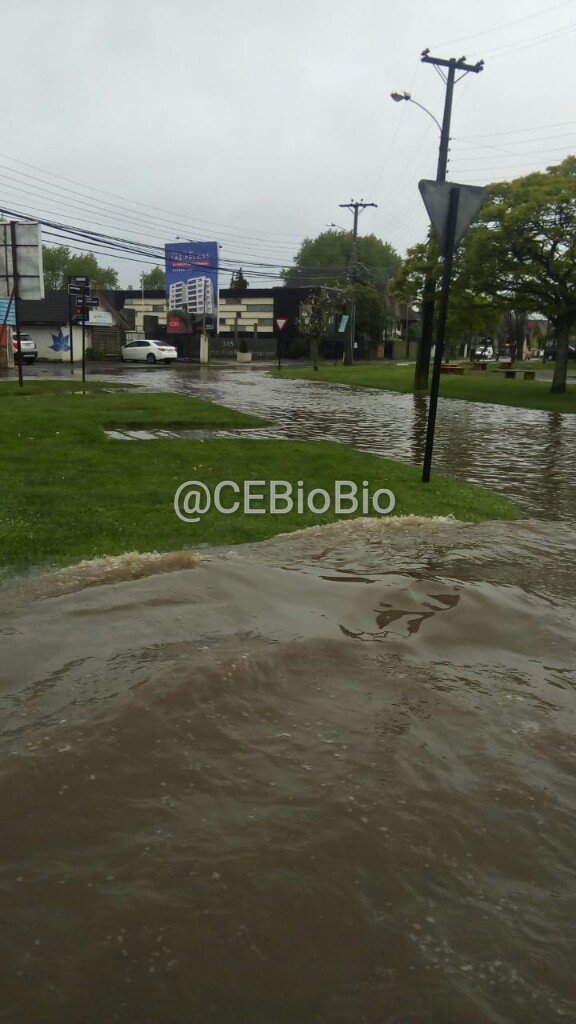 CEBioBio tweet picture