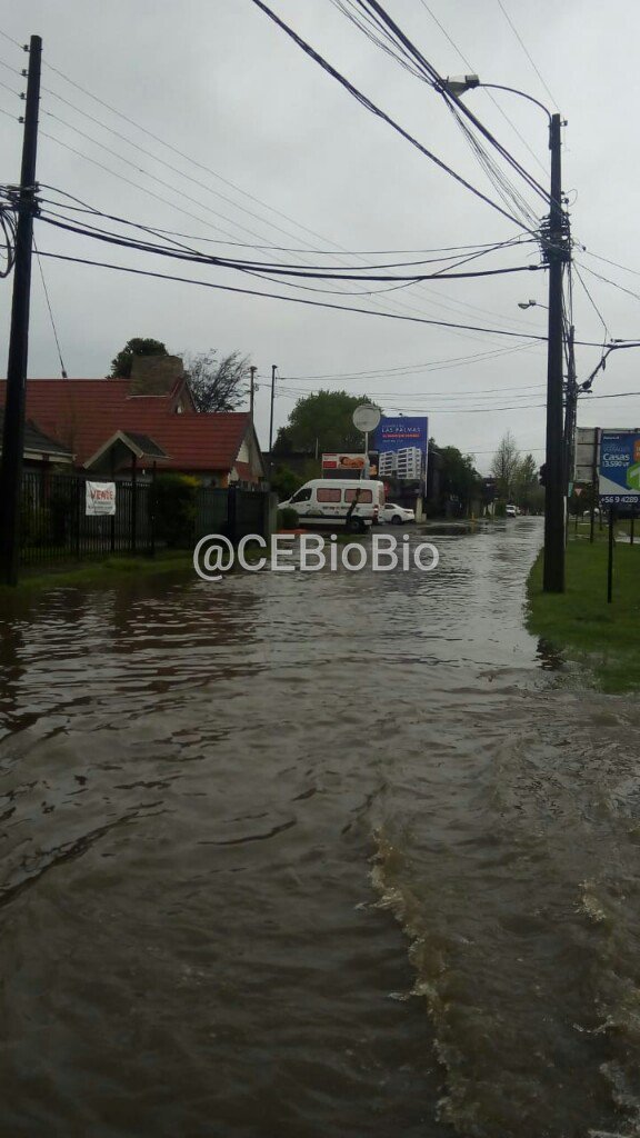 CEBioBio tweet picture