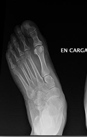 Dr. Ramón Navarro tweet media