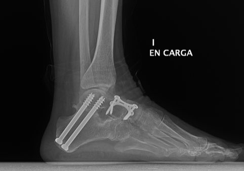 Dr. Ramón Navarro tweet media