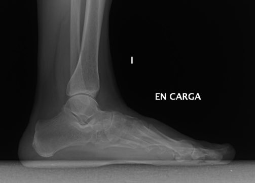 Dr. Ramón Navarro tweet media