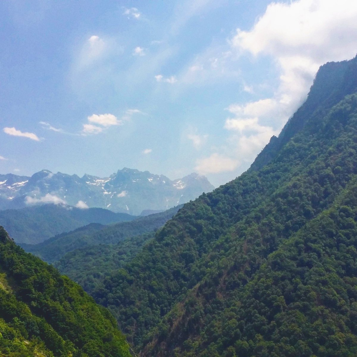 👉#mountains #georgianmountains #greenenvironment #fredhair #closertothesky #WeTravel #travelwithus #wetravelllc #travelwithfriends #traveltogether #travelling #catchrhemoment #discovergeorgia #discoveryourcountry #ვმოგზაურობთ #ერთადვიმოგზაუროთ #აღმოაჩინესამყარო