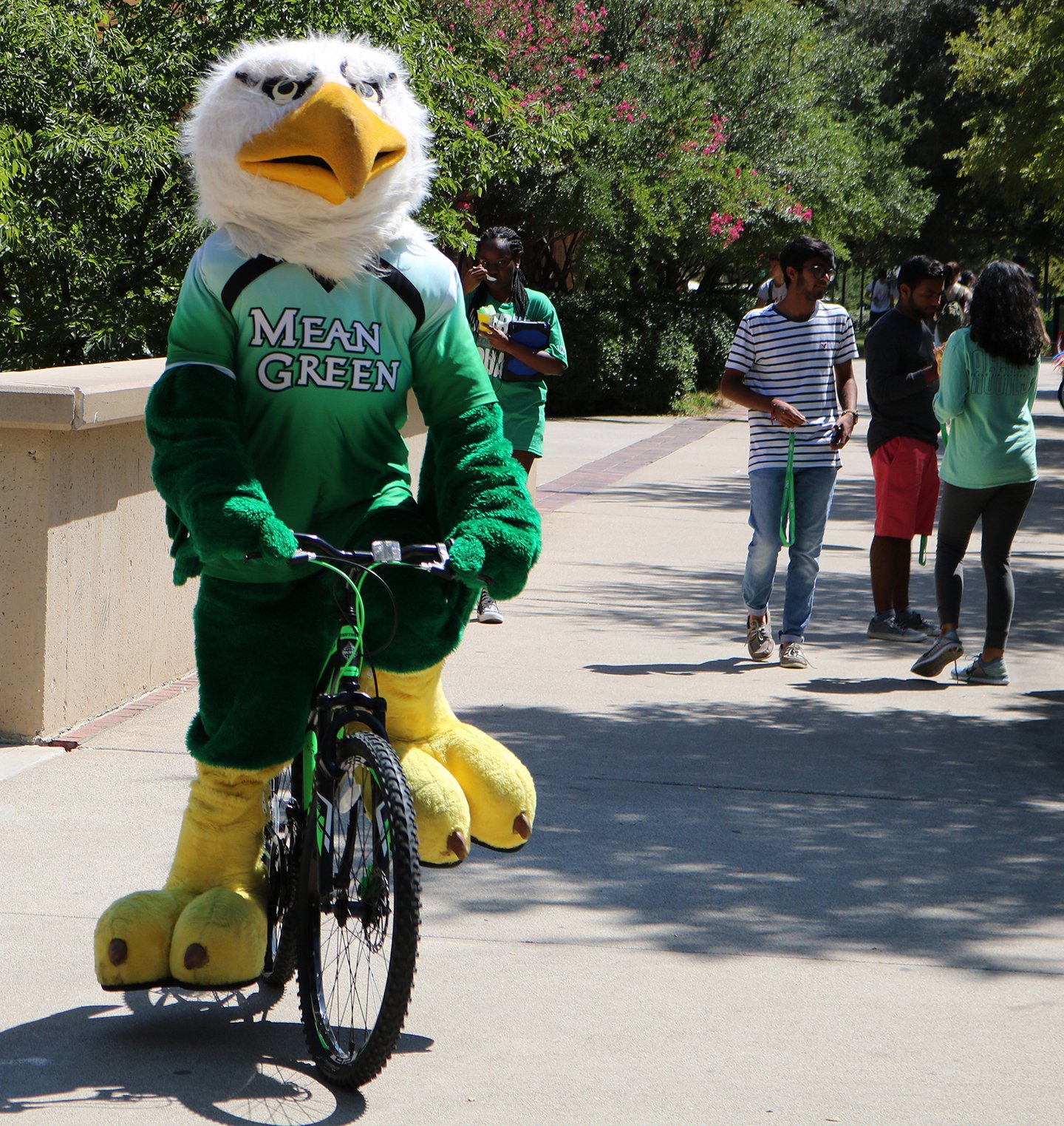 mean green bike