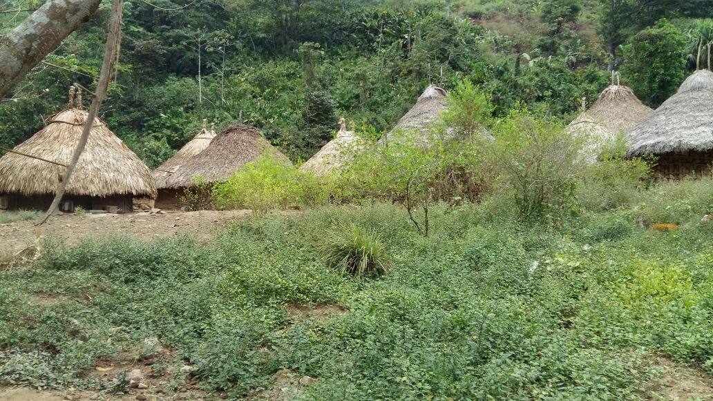 lucylcas's tweet photo. Comunidad indígena #Cogui , Sierra Nevada de Santa Marta https://t.co/nchPUFriH2