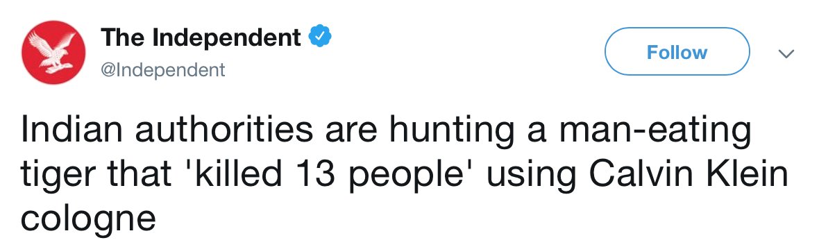 Just keep saying no (@hangingmodifier) on Twitter photo 