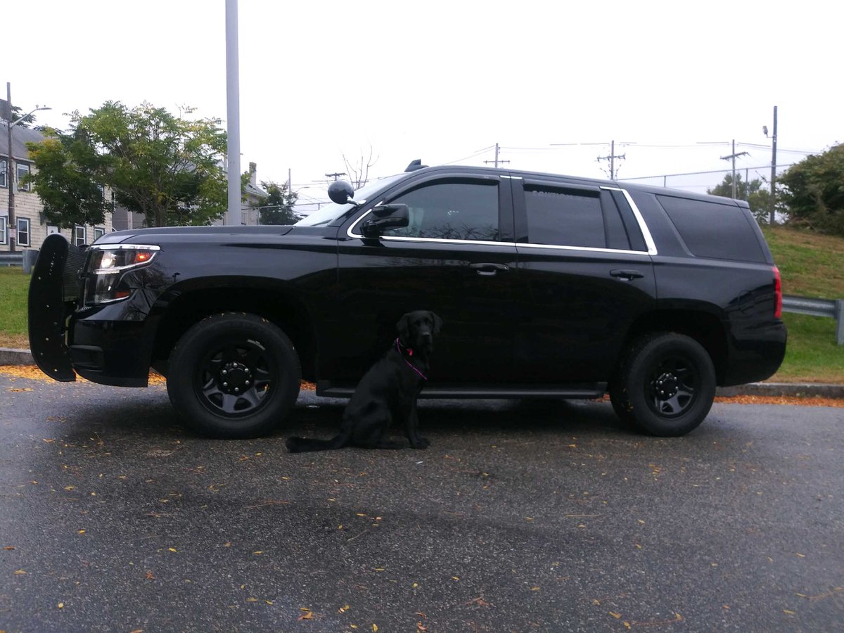 ProvidenceRIPD's tweet image. PPD&apos;s K-9 Thor making new friends while working at the @AmericanCancer Society&apos;s #MakingStrides event last weekend! #ExplosiveDetectionK9 #BreastCancerAwarenessMonth 2018