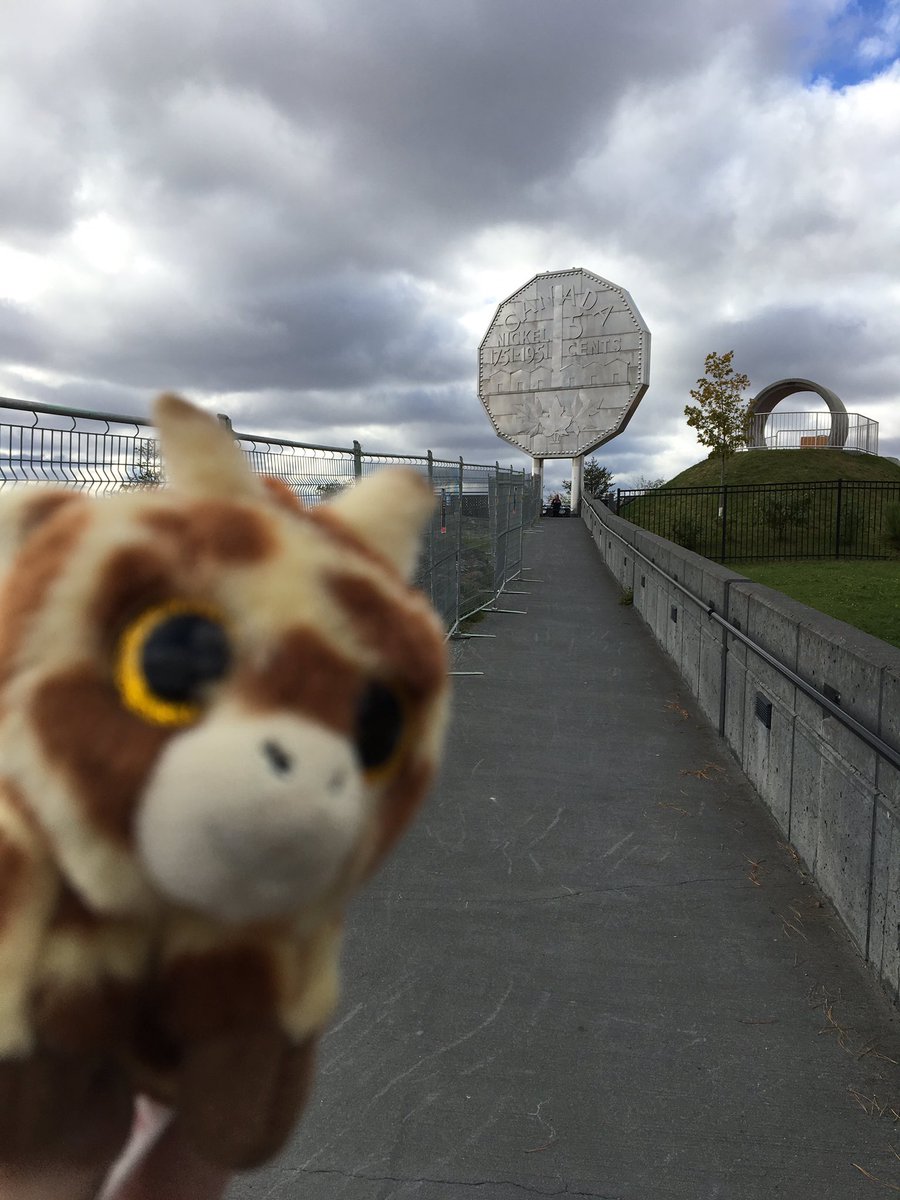 LisaSox's tweet photo. @Baycrest Geri has made it to the North! He is excited for tomorrow’s #2018refresherday geriatrics conference in Sudbury. #bignickle https://t.co/PPJ3lOrQpP