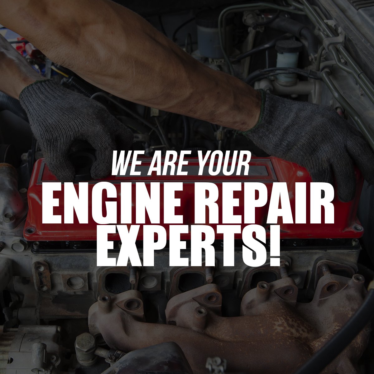 Tom's Tire Pros (TomsTirePros) Twitter