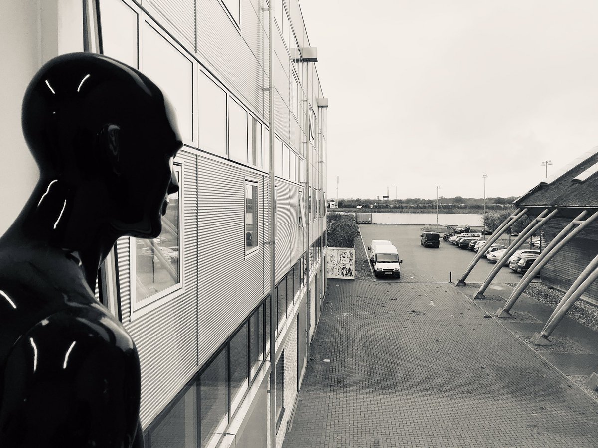 Tim Harrold tweet media