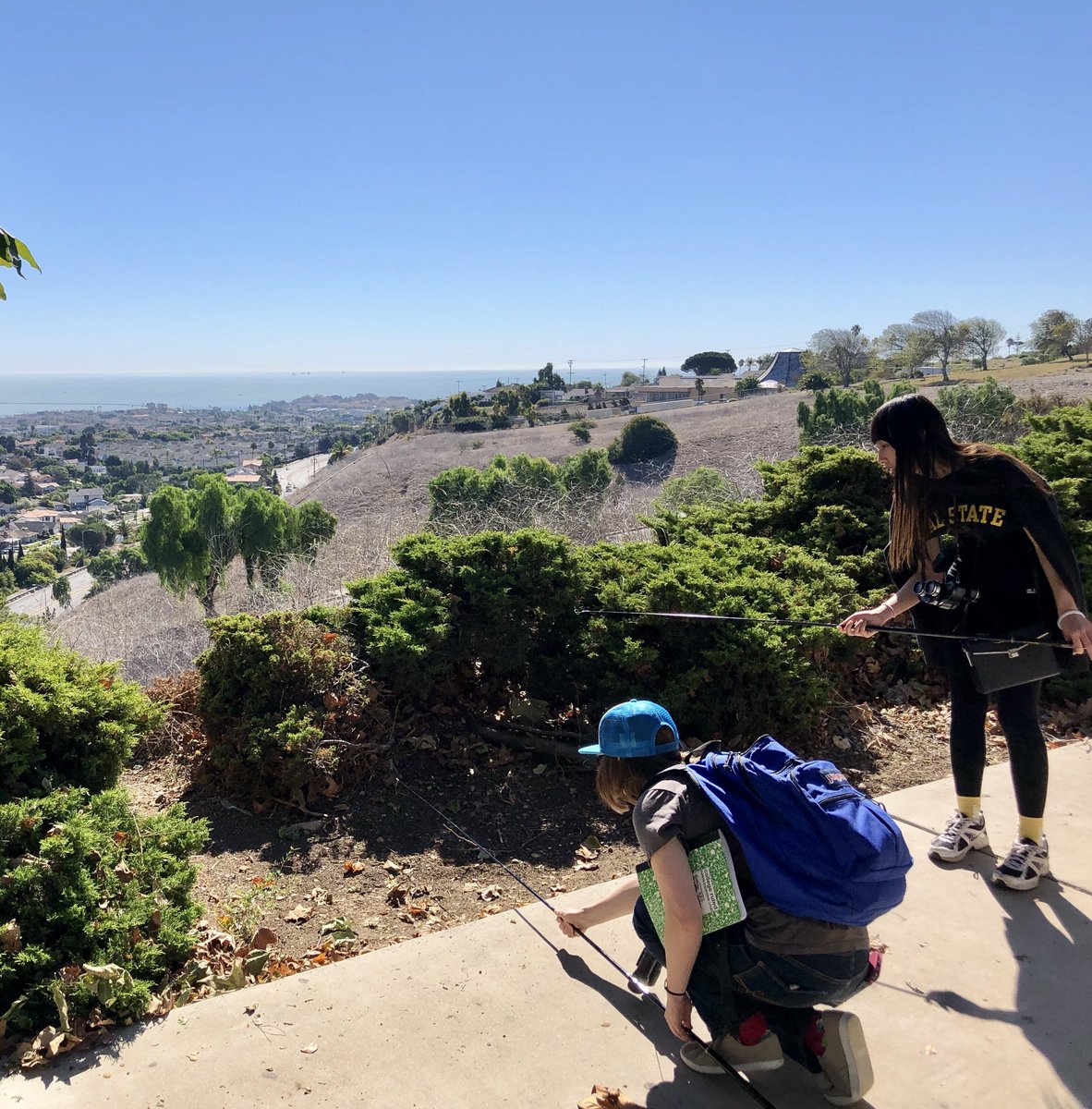 breeput's tweet photo. More #CSULBVertZoo fun—> students learning to noose #lizards. 🎣🦎 I’ve got #HERpers in training 😉. #FieldTechniques #ActiveLearning https://t.co/PIOIEQfA8W