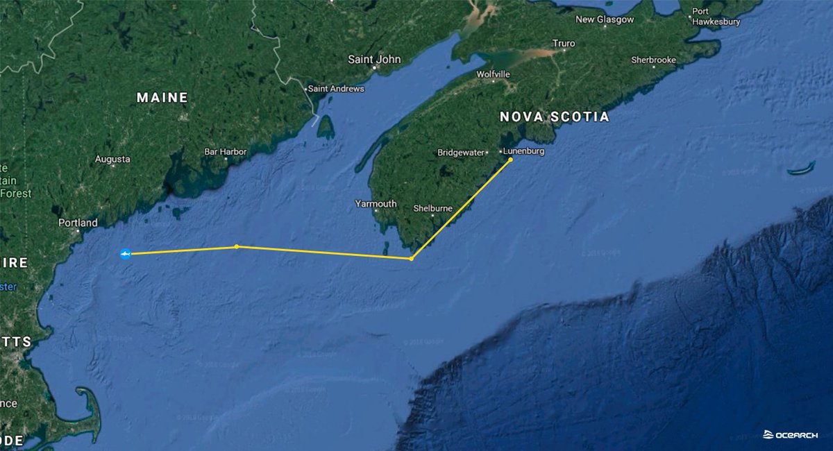 OCEARCH (@ocearch) on Twitter photo One of the white sharks we just tagged during #NovaScotiaExpedition, <a href="/GWSharkCabot/">Great White Shark Cabot</a>, is exploring the waters off the coast of Portland, Maine. He’s 9’ 8” long and one of 4 males we tagged during the expedition. One of the white sharks we just tagged during #NovaScotiaExpedition, <a href="/GWSharkCabot/">Great White Shark Cabot</a>, is exploring the waters off the coast of Portland, Maine. He’s 9’ 8” long and one of 4 males we tagged during the expedition.