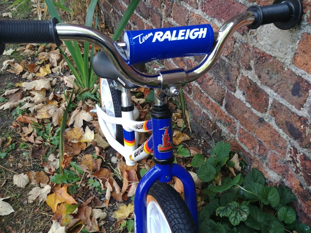 raleigh team burner balance bike