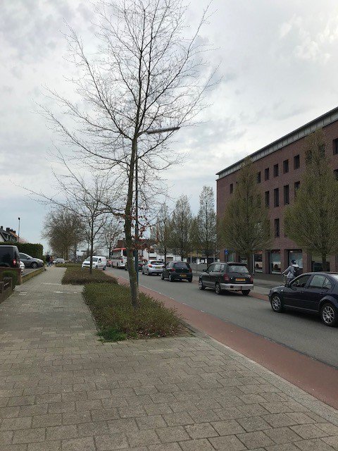 Maak Rhenen weer bereikbaar <a href="/ProvUtrecht/">Provincie Utrecht</a> en <a href="/provgelderland/">Provincie Gelderland</a> Ook met het openbaar vervoer @SyntusUtrecht is er geen doorkomen aan. #Rijnbrug #juistebeslissing  #leefbaarheid #Rhenenbereikbaar
