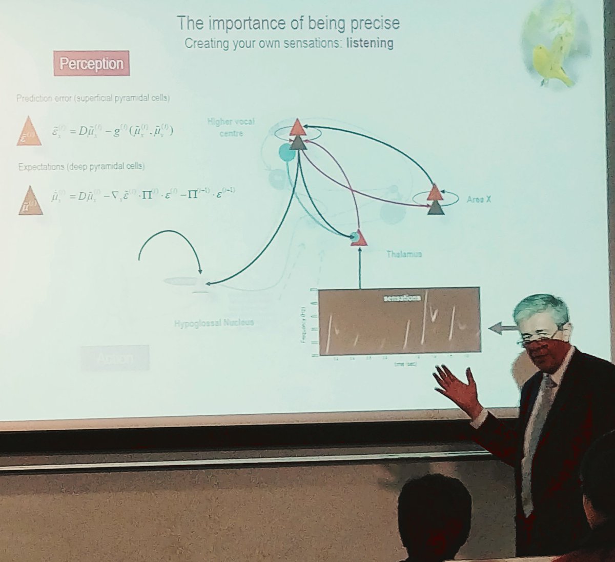 Angelika_Za's tweet image. The importance of being precise: heading off an amazing lecture by Karl Friston @UCLBrainScience - so much to read about! #predictivecoding