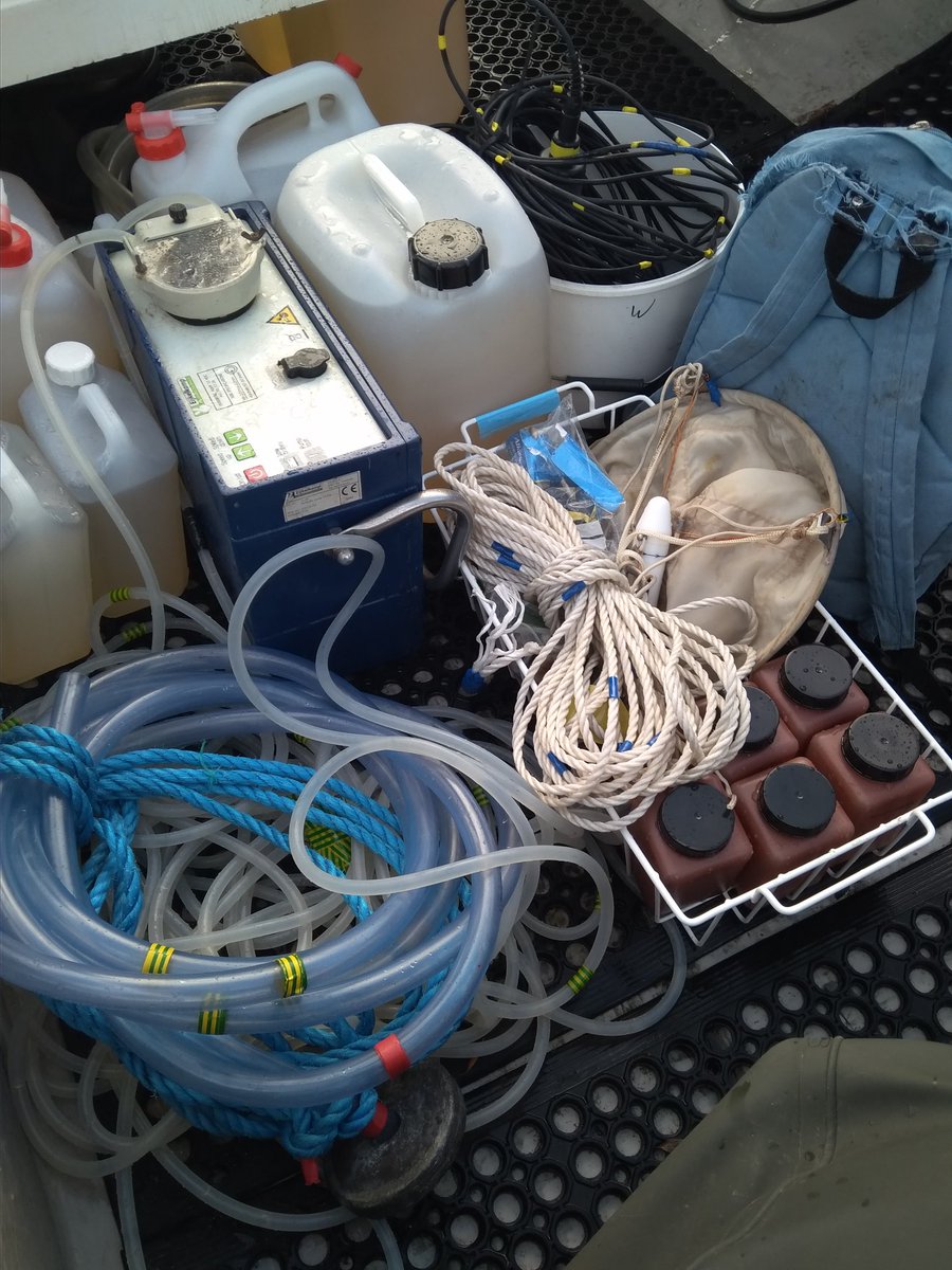 Maria Calderó Pascual tweet media