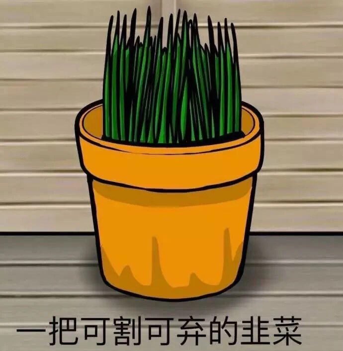 qqdxm's tweet photo. 韭菜苗也不放过😡！深圳报纸整版的注销公司清算公告，个体户也别想漏税，符合条件的个体户要建账纳税…强国韭菜：可🈹️可欺、可🈹️可弃！ https://t.co/0Sgi18VPdn