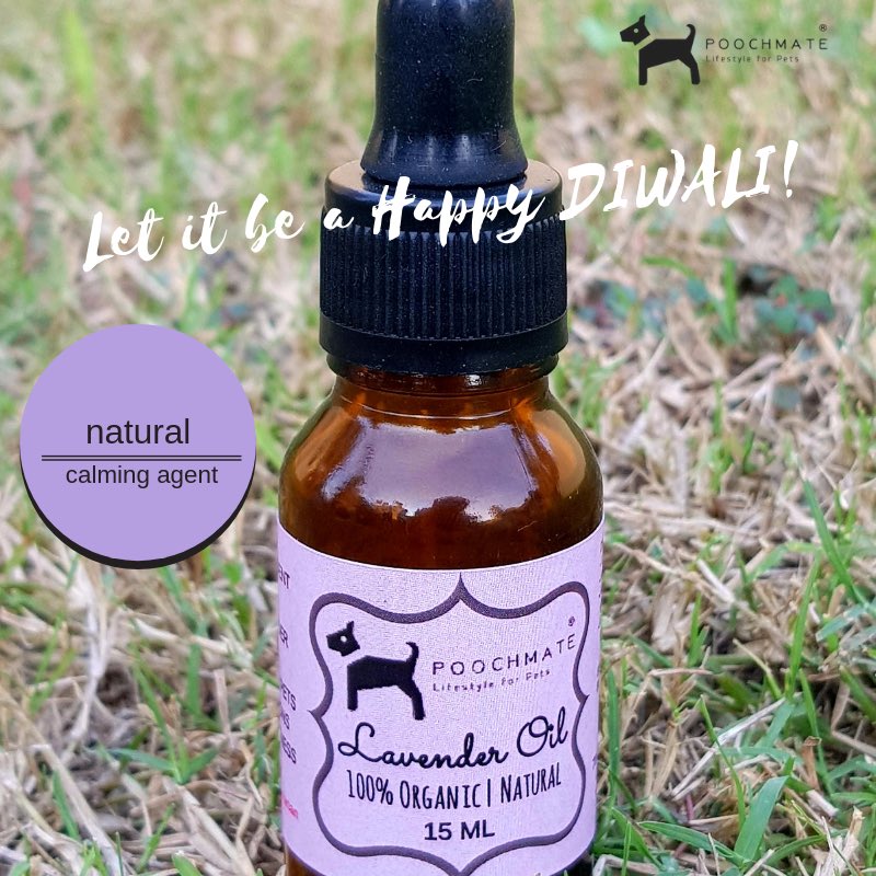 poochmate's tweet photo. Lavender is a natural calming agent for dogs. A few drops on the neck and behind the ears help your pets stay calm this #diwali ! https://t.co/kQ3DvFupN7