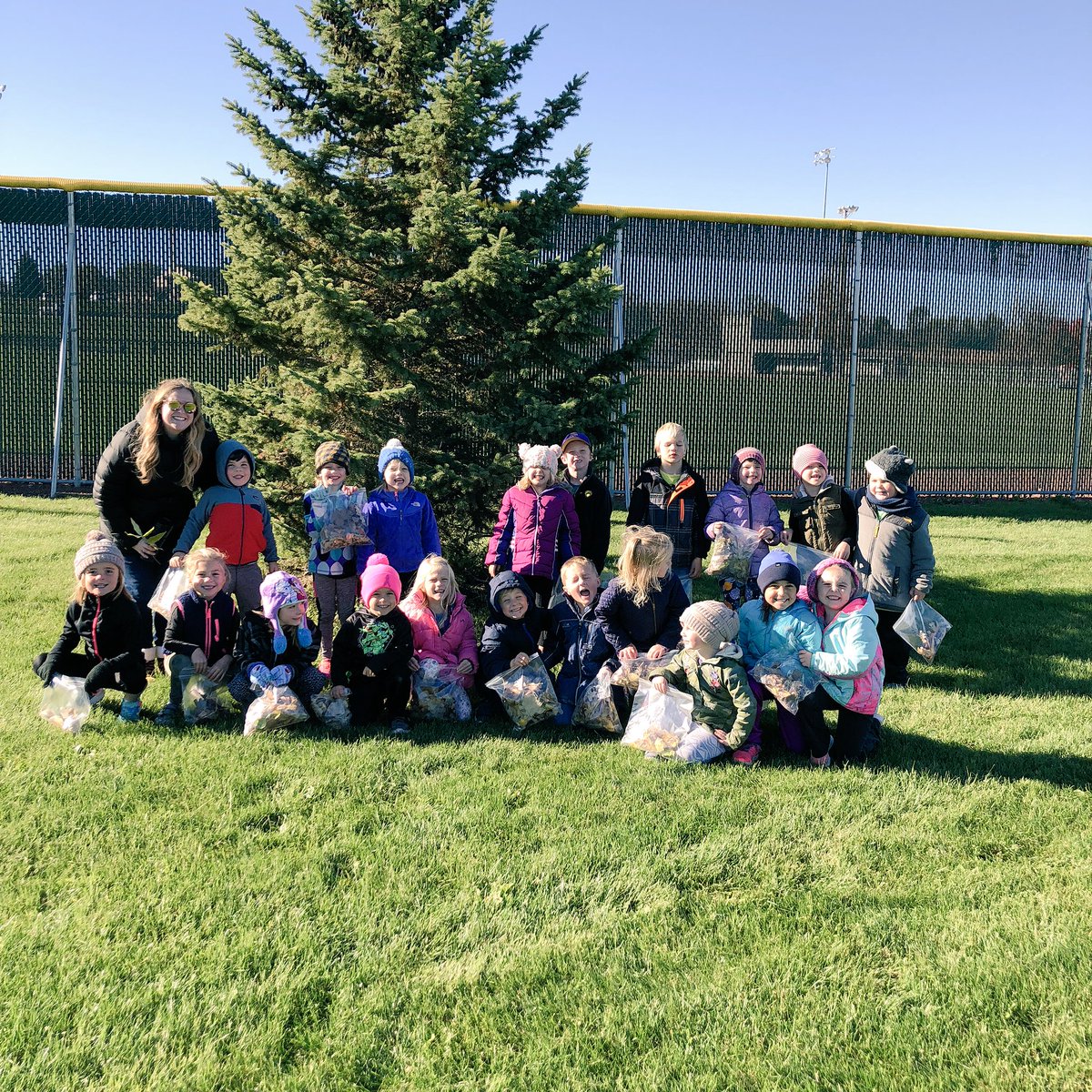 SuminskiKinders's tweet photo. Today we went on a leaf walk! We observed and collected leaves with different properties: shapes, colors, sizes and edges. https://t.co/TF20gY6wW7