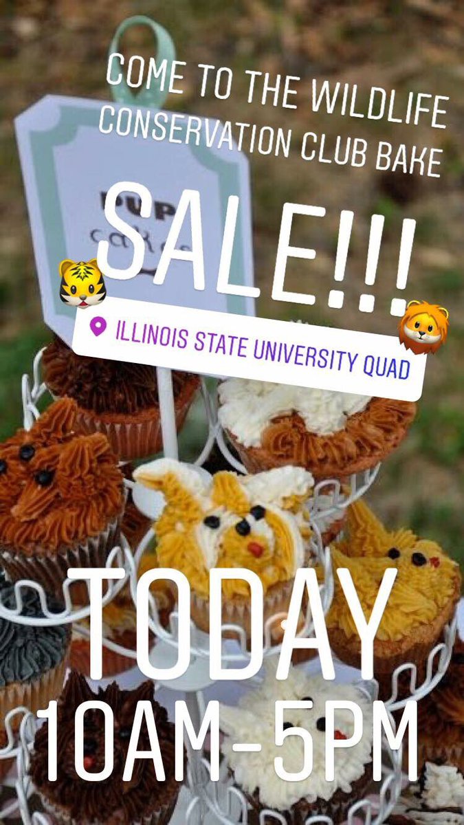 ISUWCC's tweet photo. Today’s the day!! We’re off to a great start for our bake sale! 🍪Tell your classmates, friends, and even professors to buy a treat - $1 each!🐾 https://t.co/cZq5f3jq92