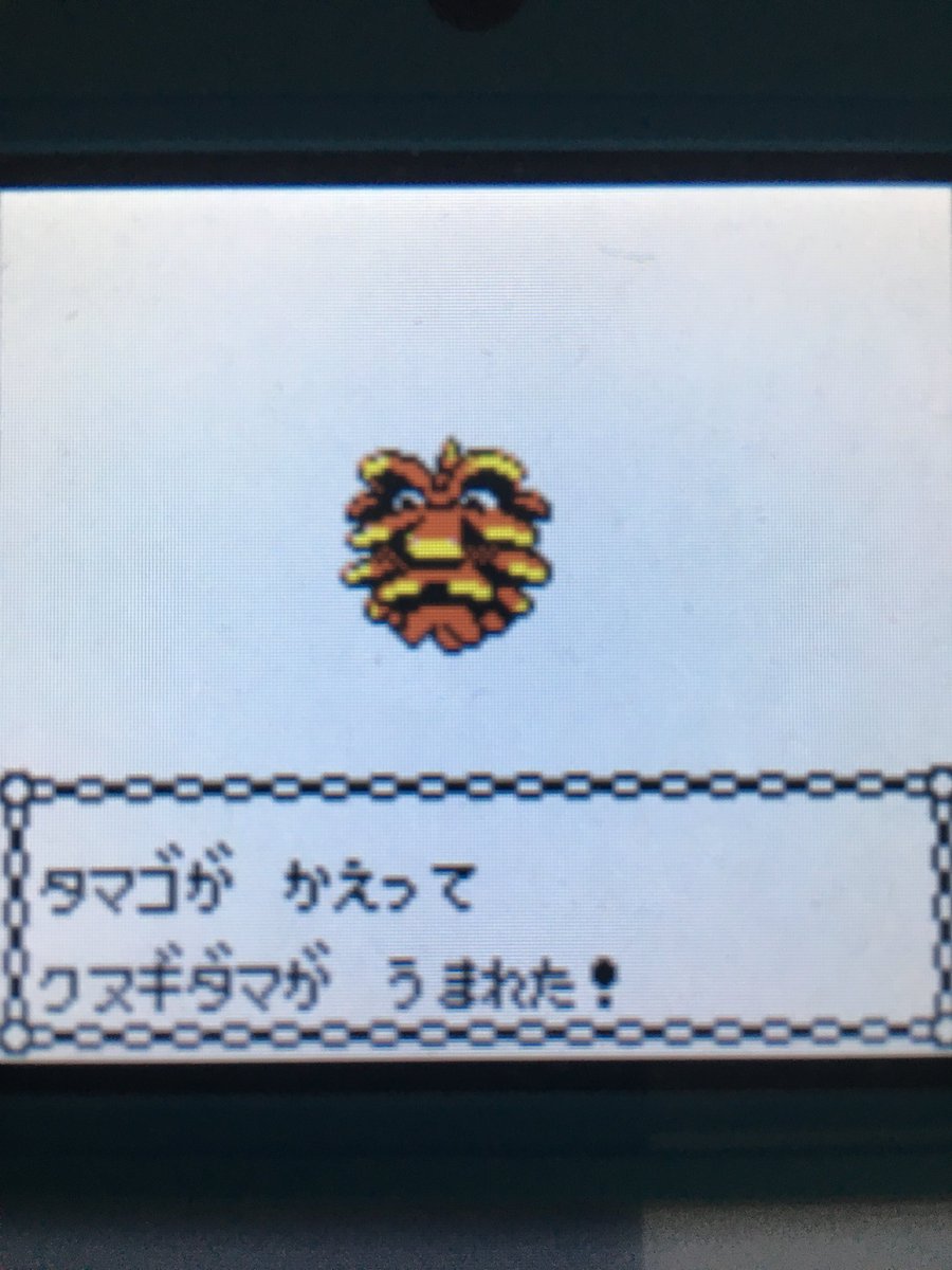 色違いポケモン紹介 Vc産クヌギダマ 自由に生きてあそblog