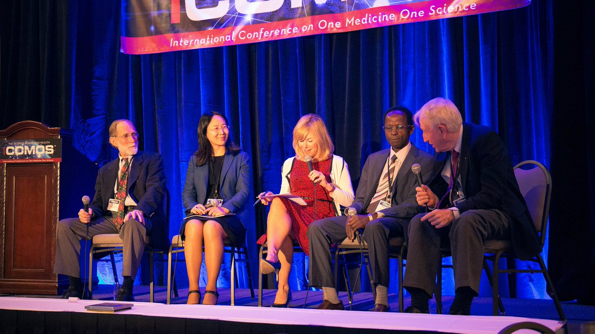 iCOMOS_'s tweet photo. Did you attend #iCOMOS2018? We have an album dedicated to our conference participants and speakers at https://t.co/6fgxevTic0. https://t.co/UKW2TSR4BY