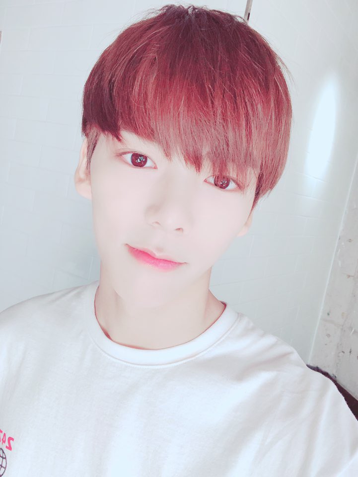 by_verivery's tweet photo. [#민찬]
오늘 하루 잘 보냈나용 요새 뜸했던 것 같아서 앨범찾아보다가 머리카락 자른 기념으로 찍은 사진올려용 ㅎ 
#오랜만이에요 #반가워요ㅎ #VERIVERY #VRVR #베리베리 https://t.co/b0BBNgvDig