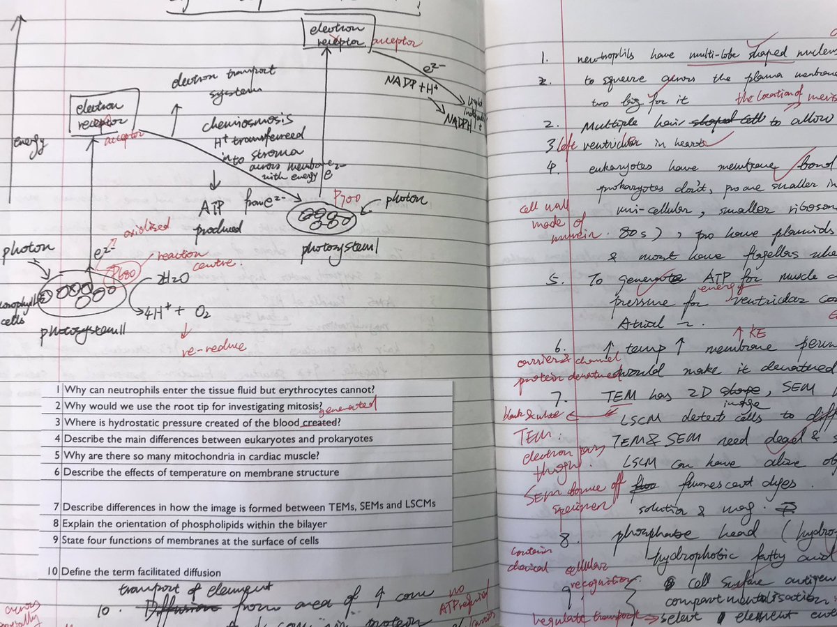theed_ucator's tweet image. Loving the introduction of Find ‘N Fix into my Y13s retrieval exercise books. Nicely breaks up the roulette quizzes and MCQs. Provides lots of opportunity to space and review content as well as highlight misconceptions! #retrieval #spacing