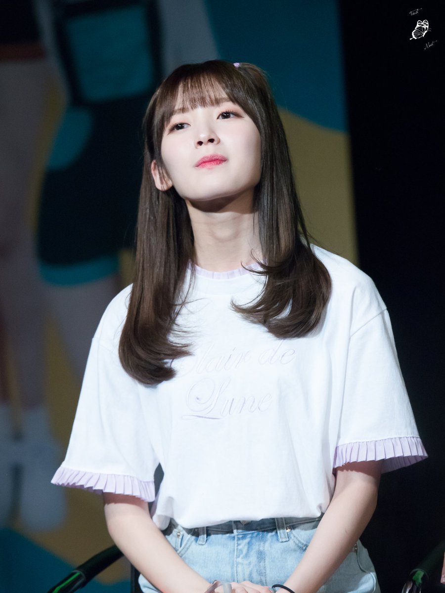 arin pics tweet media