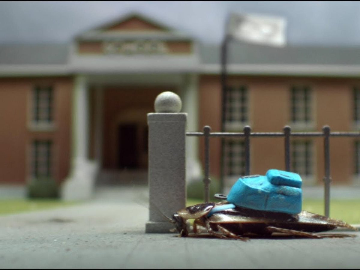 Find out about the new Hans Anders ad by <a href="/mortierbrigade/">mortierbrigade</a>: Cockroaches  j.mp/2OtzRM1