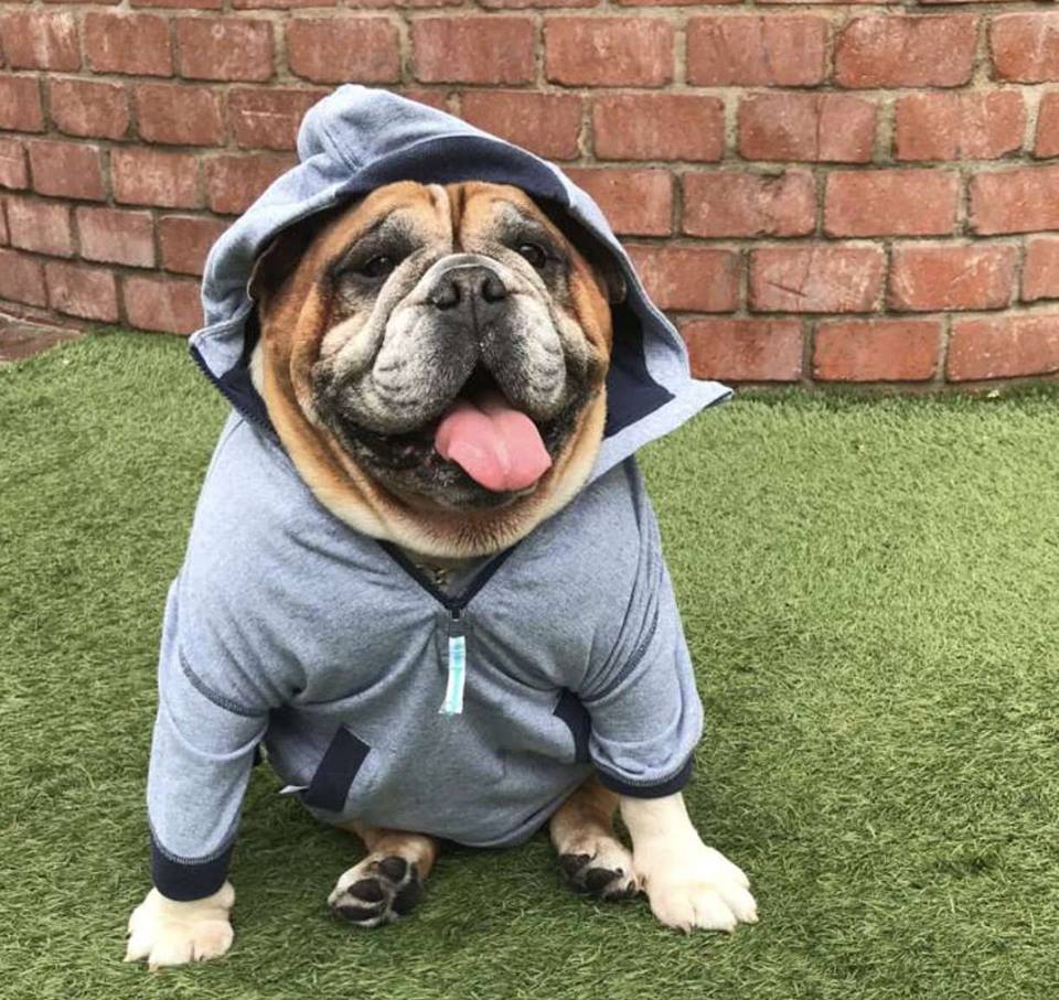 pengenins's tweet photo. Don't "sweat" high car insurance rates! Call 877-539-2533 and get a fast and free quote within minutes! You can also purchase a policy online at https://t.co/yO3T21QTQn https://t.co/8i31kBD5O1