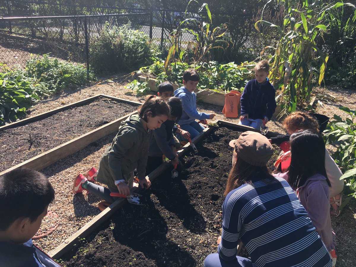 EDMrsHuang's tweet photo. A beautiful fall morning in the garden! Observed the growth of our vegetables, harvested carrots, planted Mammoth Red Clover seeds, and learned about the importance of water and the water cycle. #edgewoodproud https://t.co/5HnCv7Cl5T