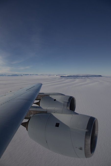 Ver imagen en Twitter