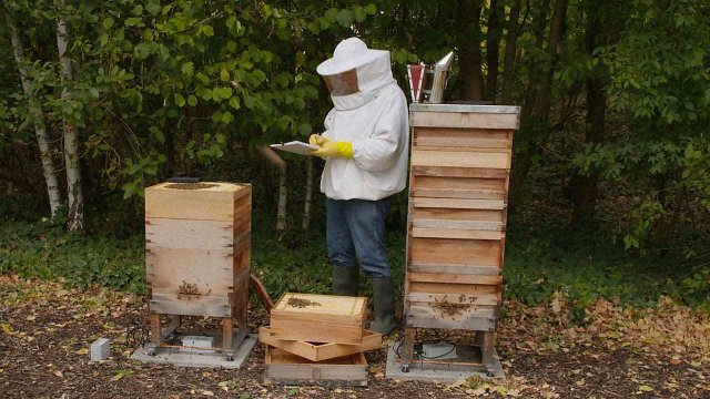 TheCloudMan33's tweet photo. #Cloud @Oracle @WorldBeeProject https://t.co/e4qZThkWTs https://t.co/ruRb6IJUwi