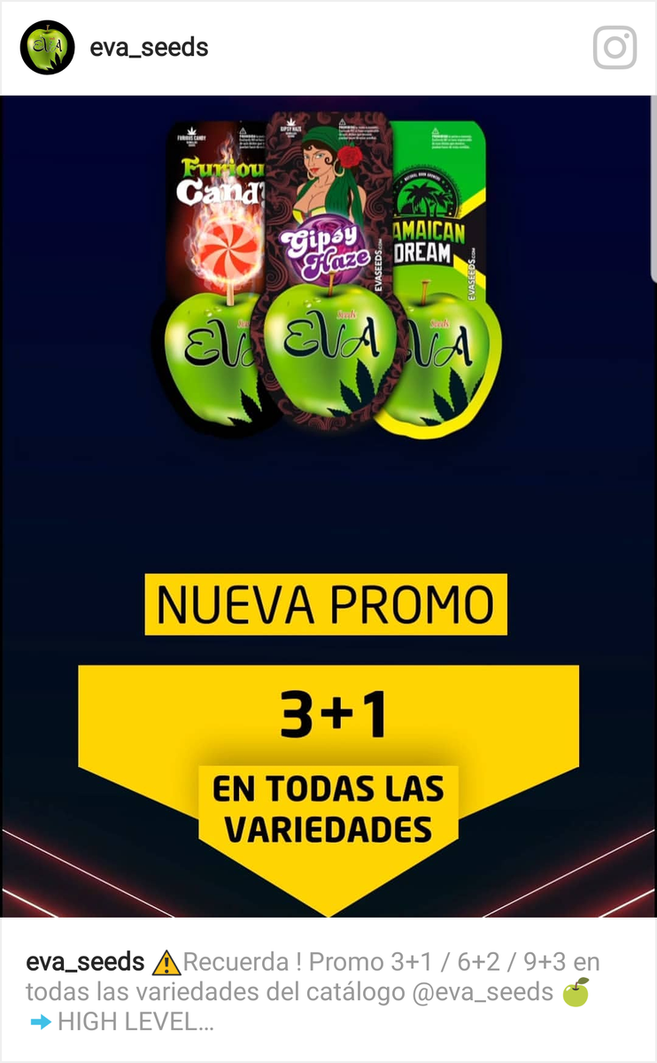 sacredgrow's tweet photo. 📣NUEVA PROMO📣 EN SEMILLAS EVA SEEDS! 3+1 / 6+2 / 9+3 EN TODAS LAS VARIEDADES DEL CATALOGO.👏 #evaseeds #hihglevel #jamaicandream #pinkplant #gipsyhaze #monster #excalibur #missinginbarcelona #blackdream #furiouscandy #gorillacandy #veneno #tntkusk #feminizadas #sacredgrow #thc https://t.co/ctGo3uOxCu