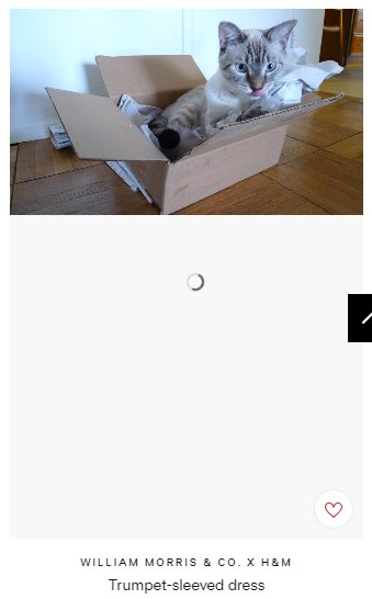 luisachristie's tweet photo. I've got a chrome extension that turns pictures of Donald T r u m p into picture of cats... I think it's malfunctioned on this @hm "trumpet-sleeved dress" lololol #MakeAmericaKittensAgain https://t.co/jRit2fyhQf