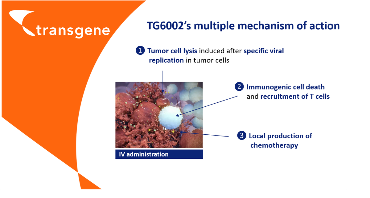 TransgeneSA's tweet photo. @TransgeneSA First patient dosed in phase 1/2 trial #TG6002 for advanced gastrointestinal tumors
https://t.co/eiYVe50HTM https://t.co/dbC5aetPgJ