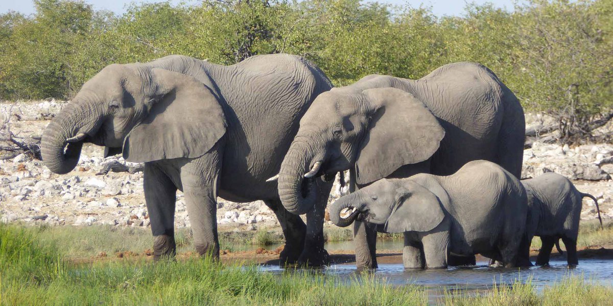 UberEng's tweet photo. Out today: how we built Uber's #ApacheHadoop #BigData platform to clean, store, &amp; serve over 100 petabytes of data with minute latency. 

Read more:  https://t.co/p7UIJYNDsc via @RezaSH https://t.co/W91X1fKO7Q