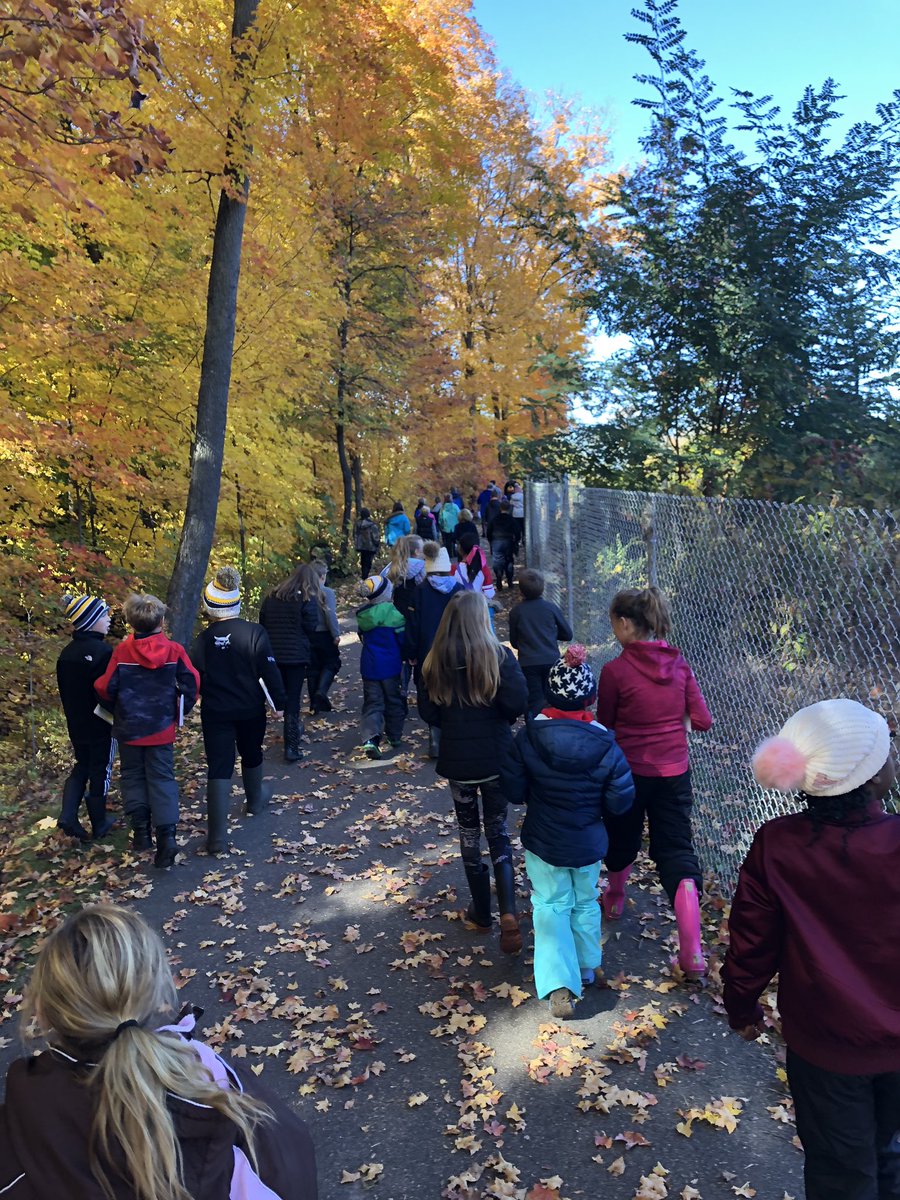 Karoline Warner tweet media