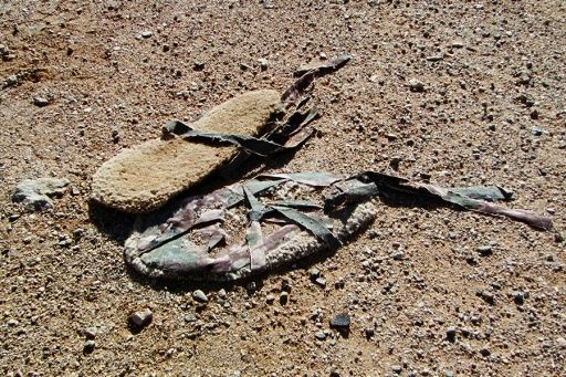 We were very impressed with the @GlobeFilmSeries’ exploration of Mexican cinema and culture. 
buff.ly/2pScihk