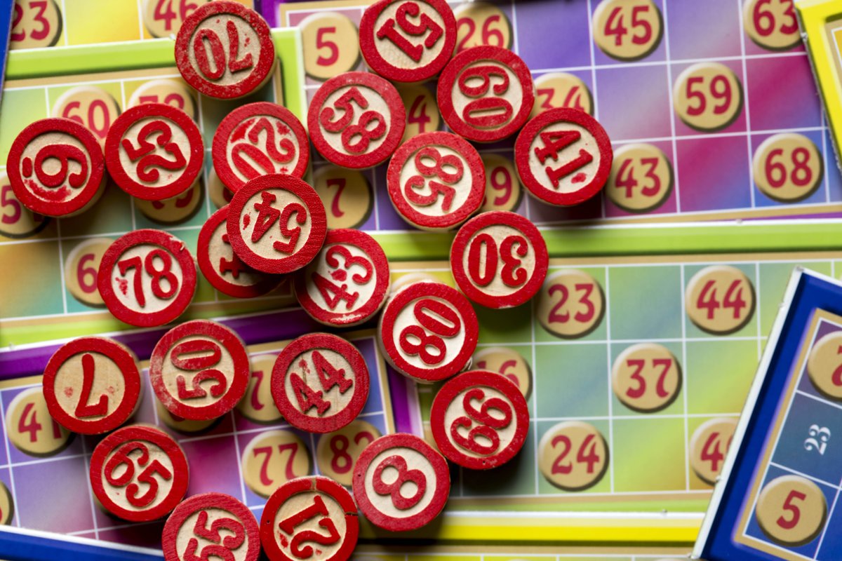Foxy bingo friends game Foxy bingo friends game