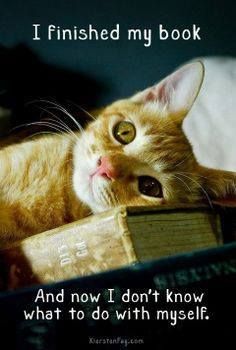 DebraKristi's tweet photo. *Sigh*
It's called #book withdrawal. 
#booklover #booknerd #bookobsessed https://t.co/16fOgiioT6