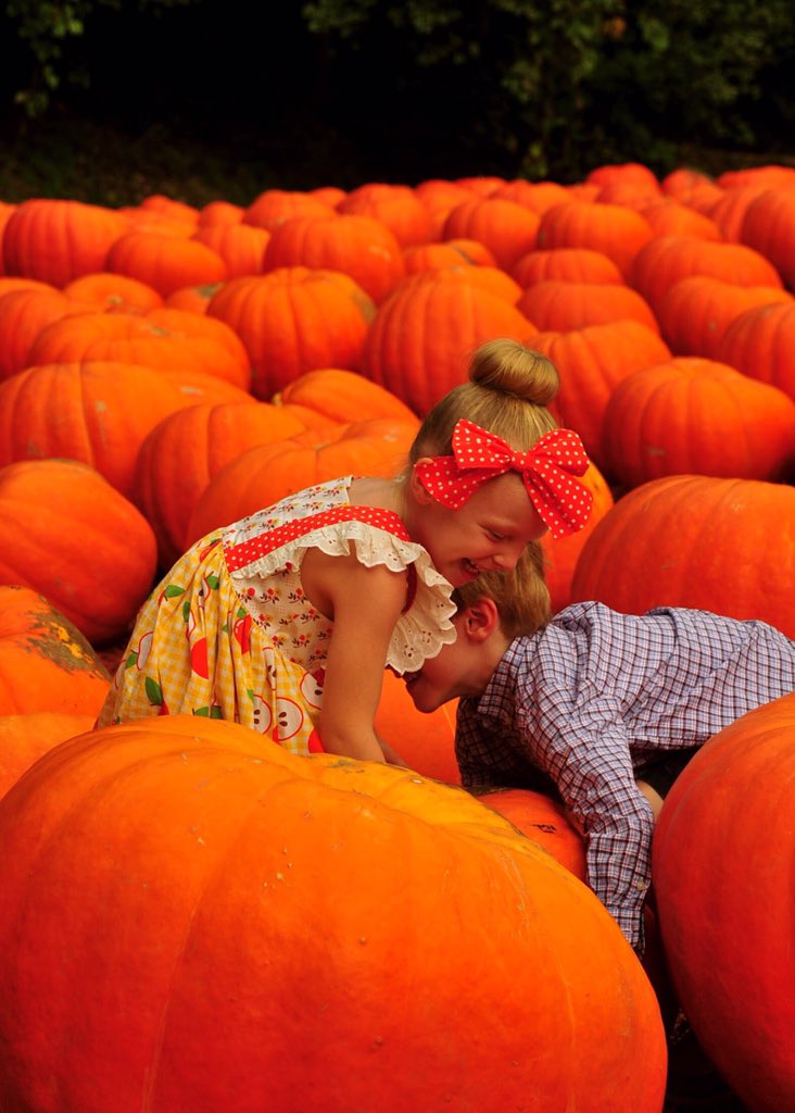 VisitDville's tweet photo. Sometimes we all need a little help picking the right pumpkin... 

@burts_farm #dawsonville #dville #pumpkin https://t.co/mzBhAfe0UR