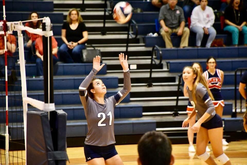 SV Ranger Volleyball tweet media