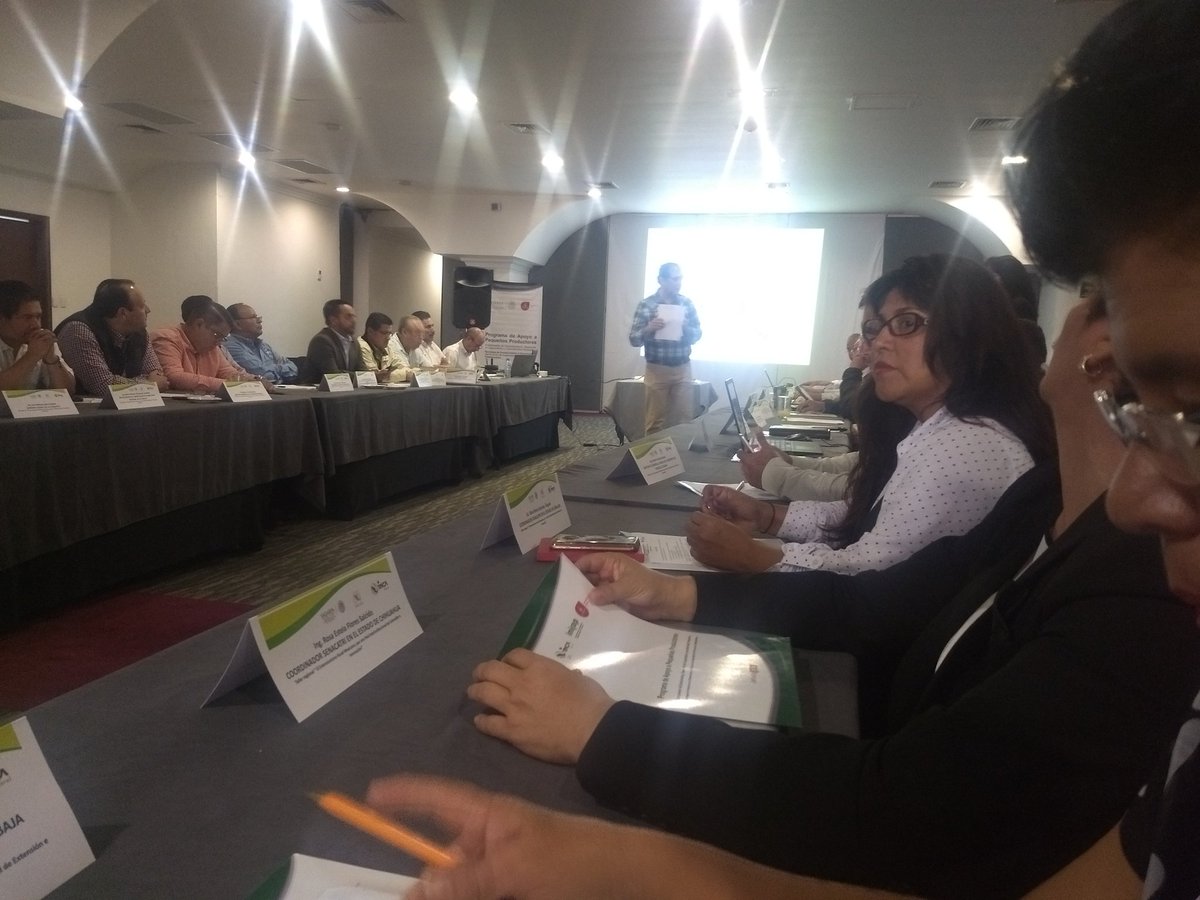 bboquita's tweet photo. Foro Regional "El extensionismo Rurales océano; por una Red interinstitucional de extensión e innovación" @linosma @ExtensionismoMx #soyextensionista @SAGARPA_mx @SagarpaZac https://t.co/SVOG1u3DZG