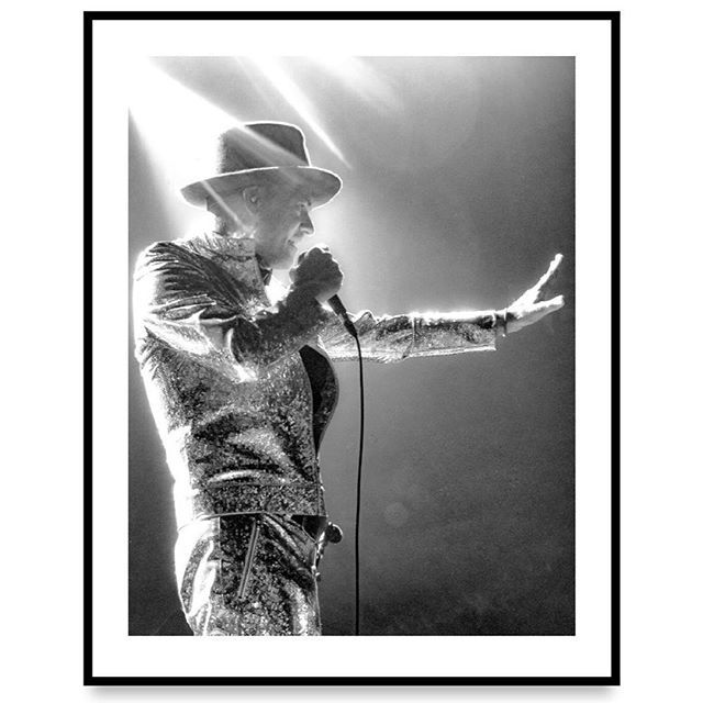 Analogue Gallery tweet media