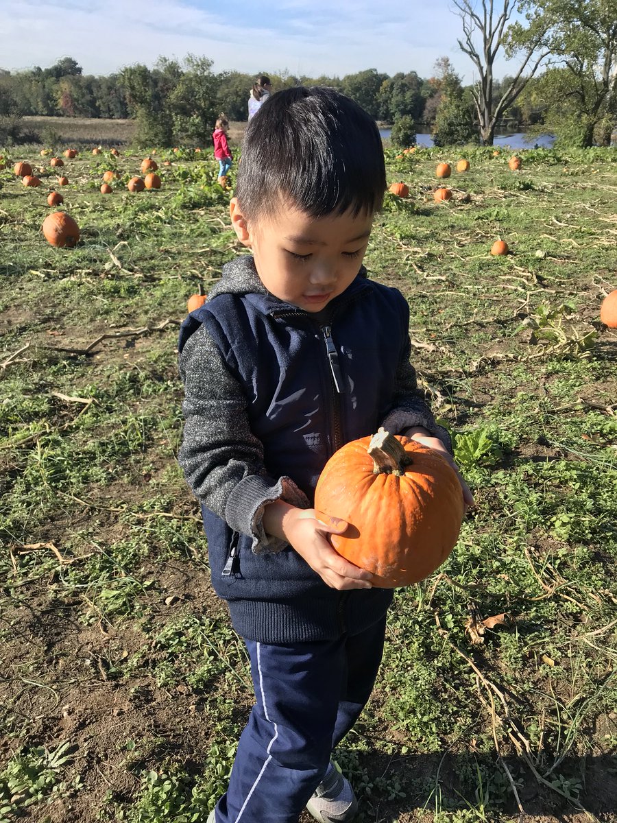 mrscrossOV's tweet photo. Beautiful day for our field trip to Grasso Girls Farm Market🍂🍁🚜 @OVELEM https://t.co/pvdK6iYPFY
