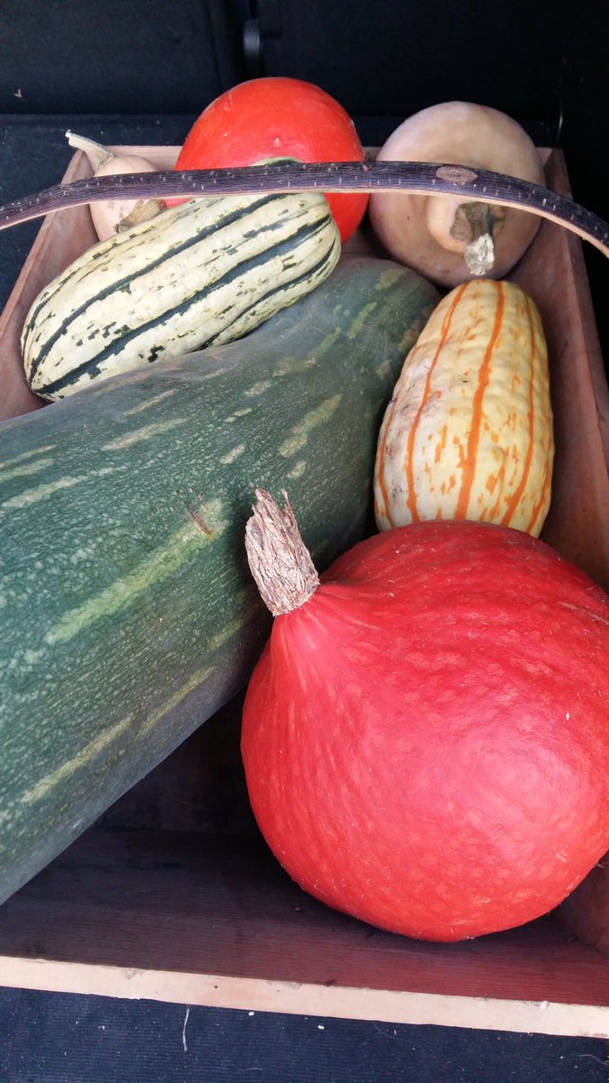 GestionLycee's tweet photo. Demain repas d'automne au @LP_Chabanne #automne #garp #repasatheme https://t.co/6YzgTXb9jO