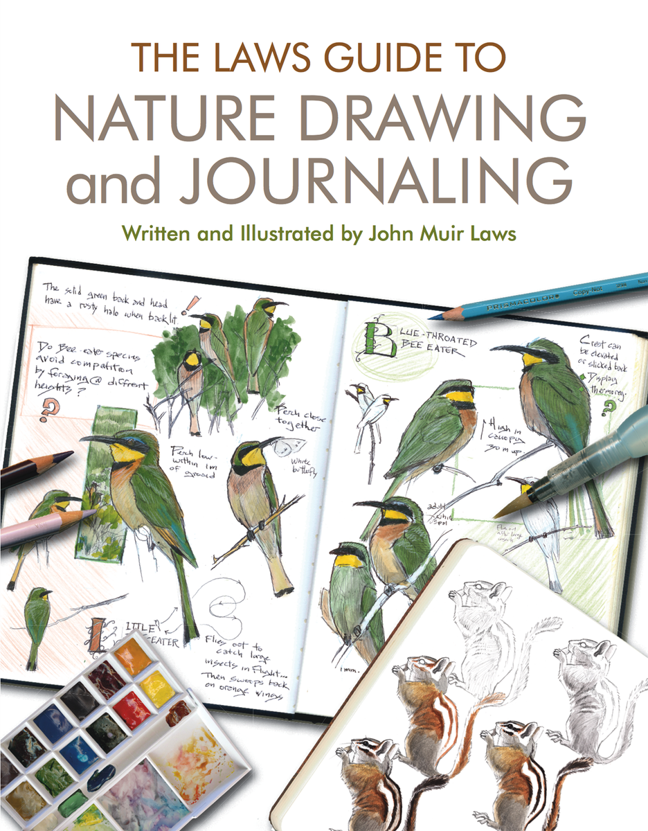 GurneyJourney's tweet photo. When you're drawing plants or animals, there are two major issues you have deal with: the mechanics of how to draw, and the understanding of what you're drawing. "The Laws Guide to Nature Drawing and Journaling" does both really well. https://t.co/FCd6eJJo7c #drawing #nature https://t.co/Z5gAfop3yn