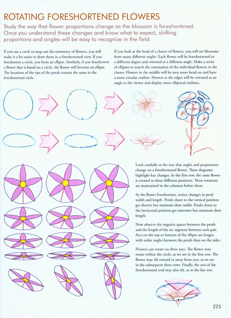 GurneyJourney's tweet photo. When you're drawing plants or animals, there are two major issues you have deal with: the mechanics of how to draw, and the understanding of what you're drawing. "The Laws Guide to Nature Drawing and Journaling" does both really well. https://t.co/FCd6eJJo7c #drawing #nature https://t.co/Z5gAfop3yn