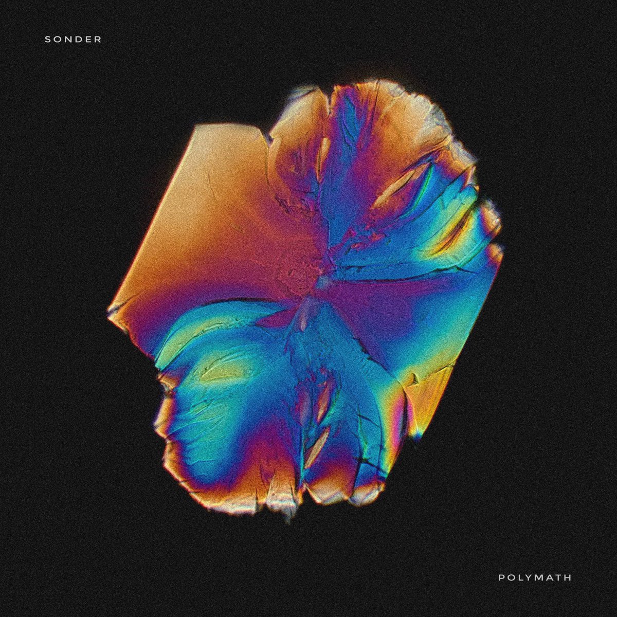 44,100 HZ Social Club premiere Kincaid's Sonder soundcloud.com/44100hzsocialc…